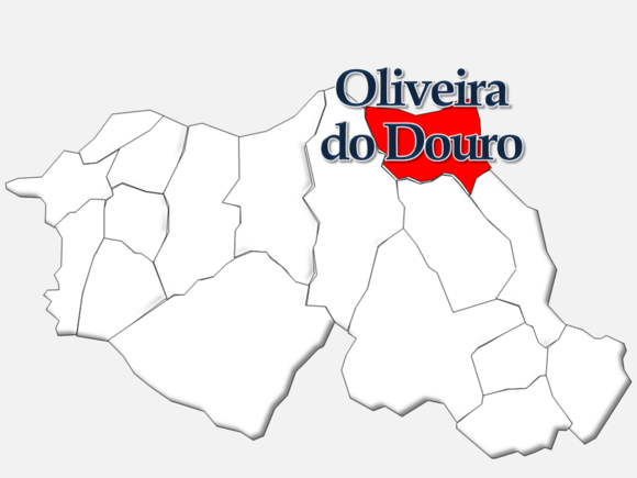 Prostituto em Oliveira do Douro (PT)