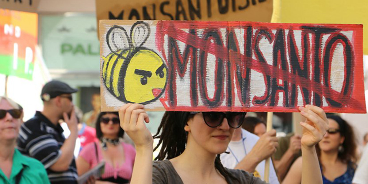 Prostituição está de volta a Monsanto
